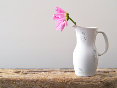 免费加速器下载vpn 免费加速器下载vpn