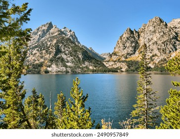 帝王会所导航在线观看 帝王会所导航在线观看