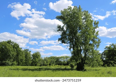 91视频 漫画 91视频 漫画